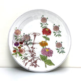Zinnia dinner plate