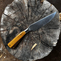 Knife with lignum vitae handle